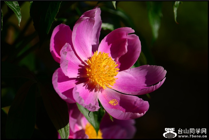 DSC_2360.jpg