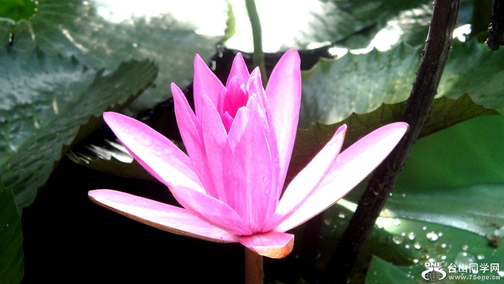 DSC02249_.jpg