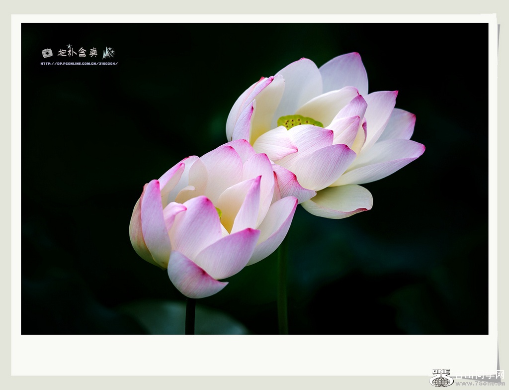 DSC_4908s.jpg