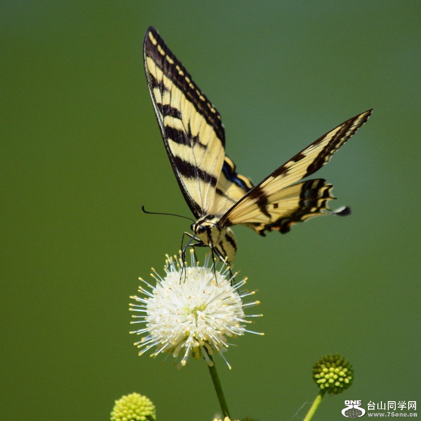 DSC_5389_66.jpg