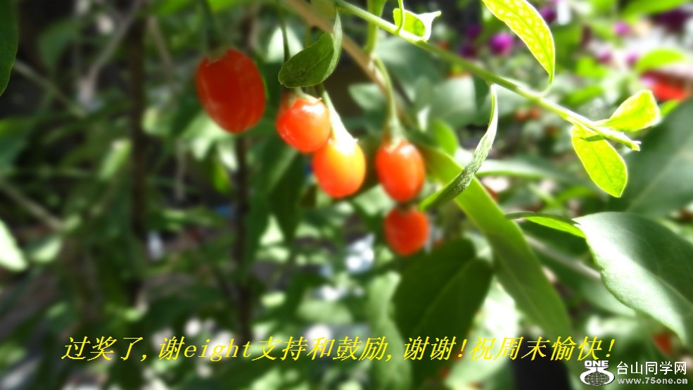 ,лeightֺ֧͹,лл!ףĩ!.jpg