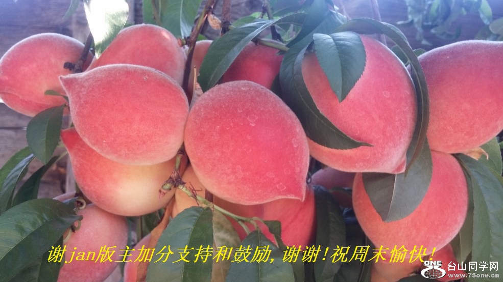 лjanӷֺ֧͹,лл!ףĩ!.jpg