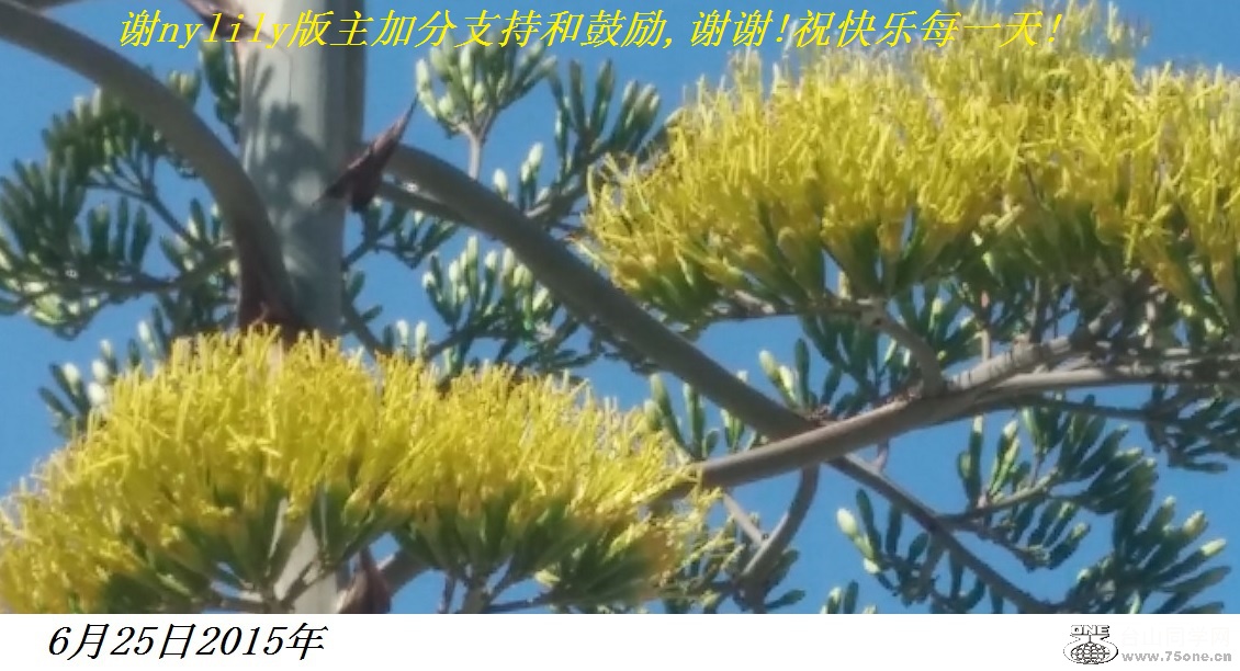 лnylilyӷֺ֧͹,лл!ףÿһ!.jpg