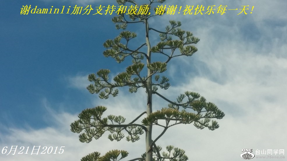 лdaminliӷֺ֧͹,лл!ףÿһ!.jpg