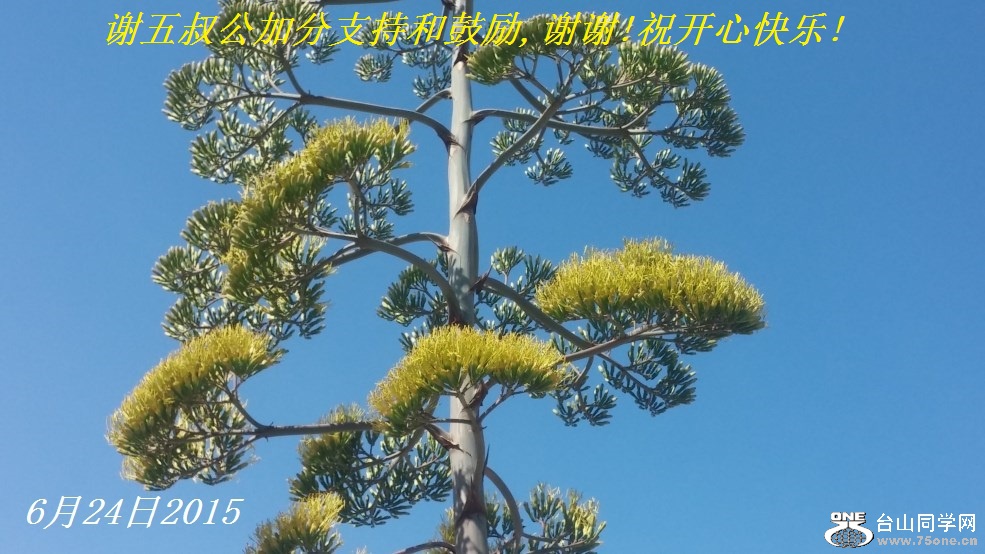 л幫ӷֺ֧͹,лл!ףĿ!.jpg