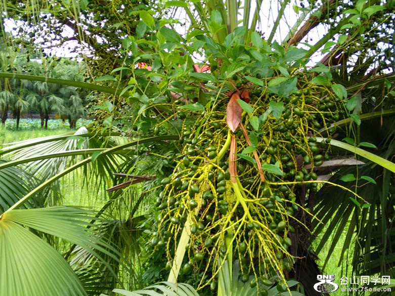 IMG20150725173620_.jpg