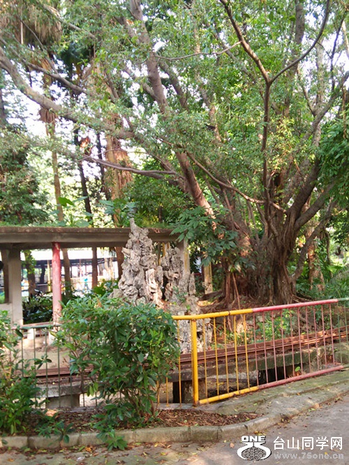 IMG20150712082851_.jpg