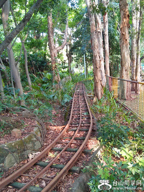 IMG20150712082945_.jpg