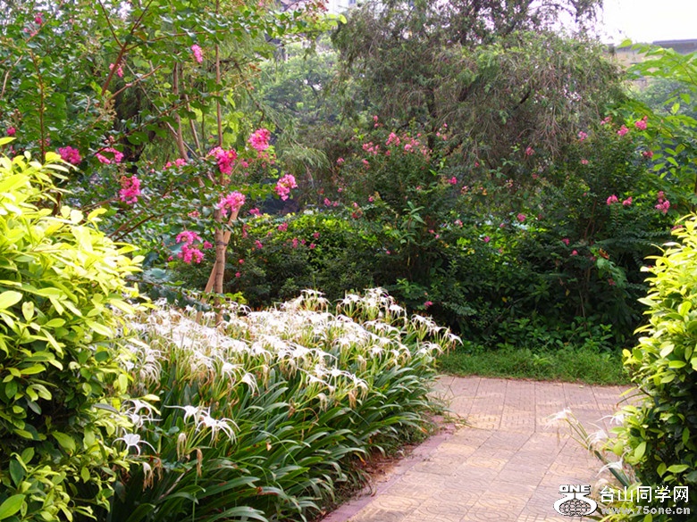 IMG20150712081437_.jpg
