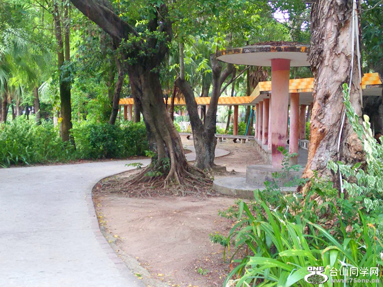 IMG20150709161017_.jpg