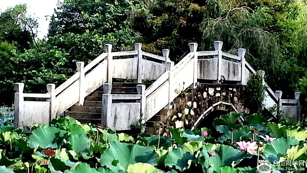 20150726_073441_.jpg