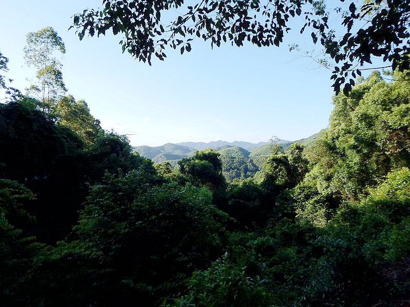 DSC_0006.jpg