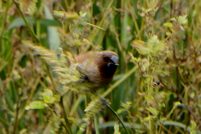 DSCF6030.jpg