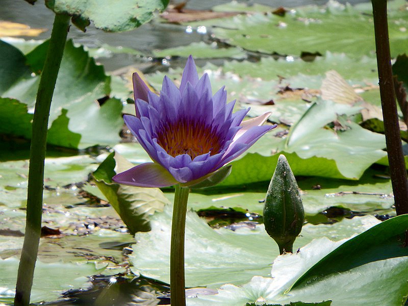 DSC_5428.jpg
