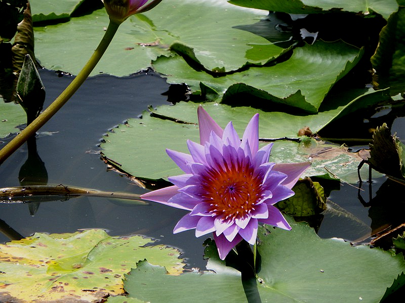 DSC_5419.jpg