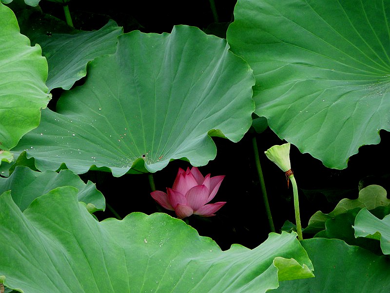 DSC__030.jpg