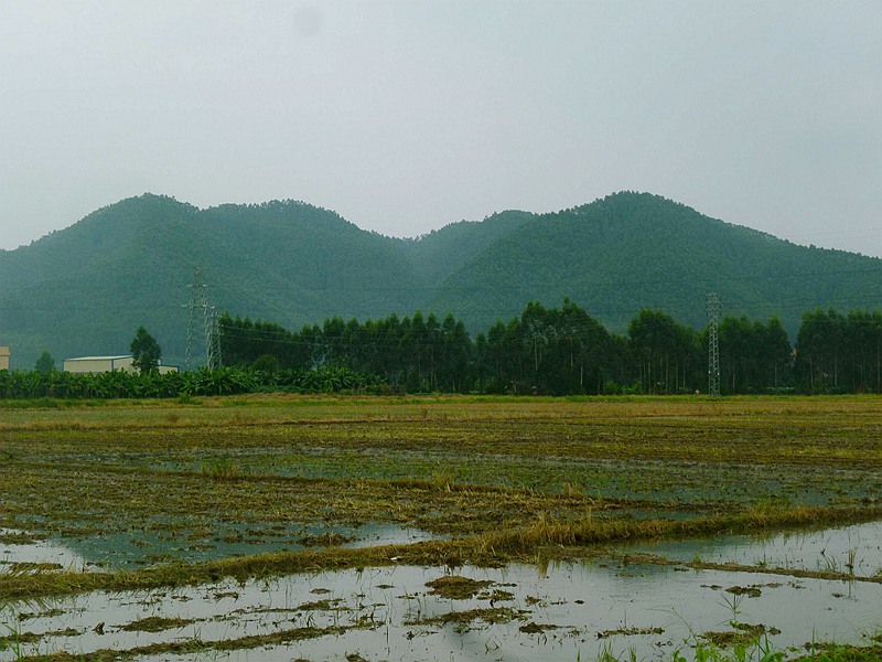 929.jpg