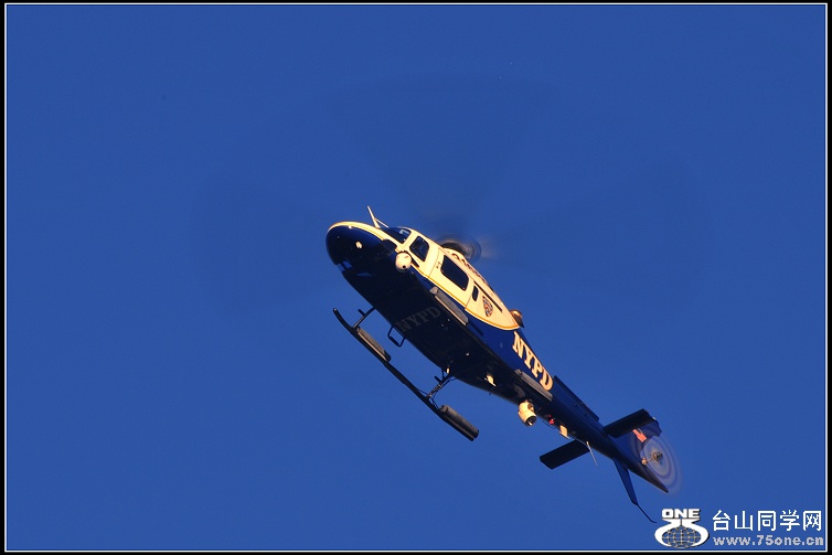 DSC_2999.JPG