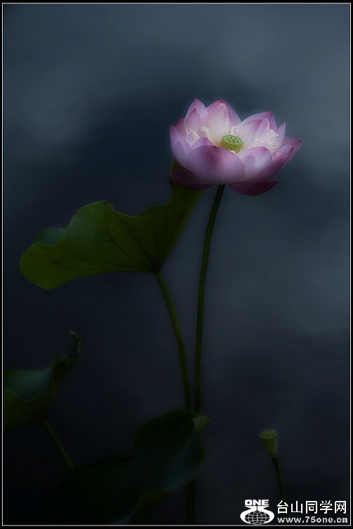 DSC_4407.JPG