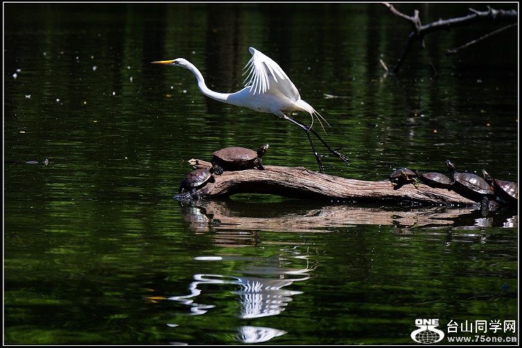 DSC_2686.JPG