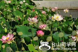 DSC_0162 [ 320 ߶ 240].jpg