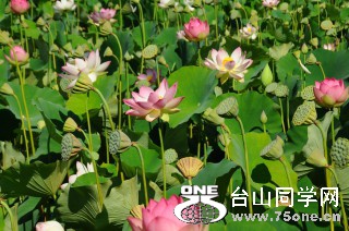 DSC_0158 [ 320 ߶ 240].jpg