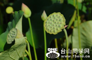 DSC_0152 [ 320 ߶ 240].jpg