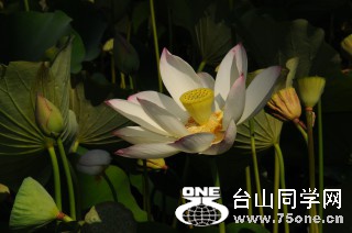 DSC_0185 [ 320 ߶ 240].jpg