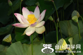 DSC_0190 [ 320 ߶ 240].jpg