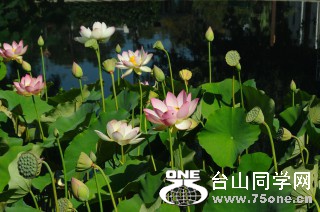 DSC_0151 [ 320 ߶ 240].jpg