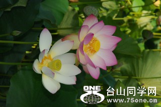 DSC_0172 [ 320 ߶ 240].jpg