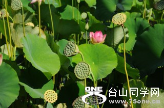 DSC_0166 [ 320 ߶ 240].jpg