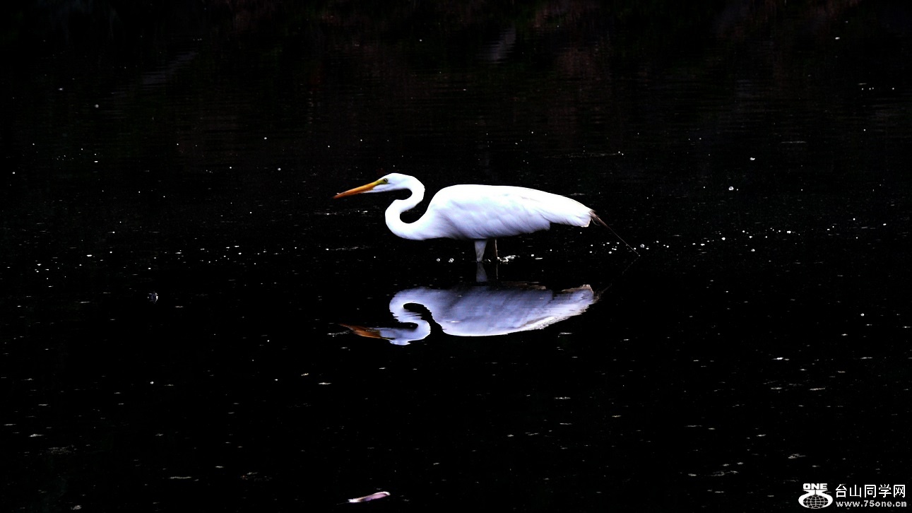 l2390356_conew1.jpg
