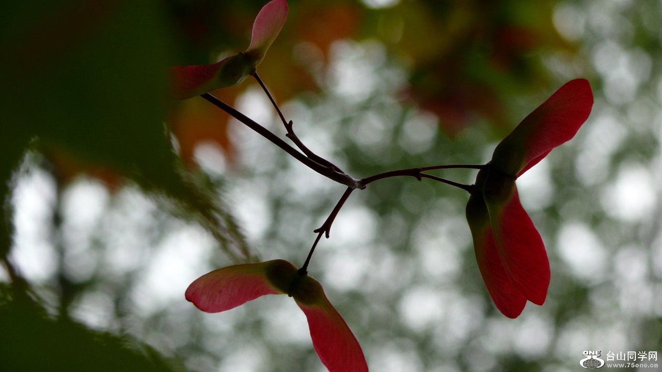 l2360673_conew1.jpg