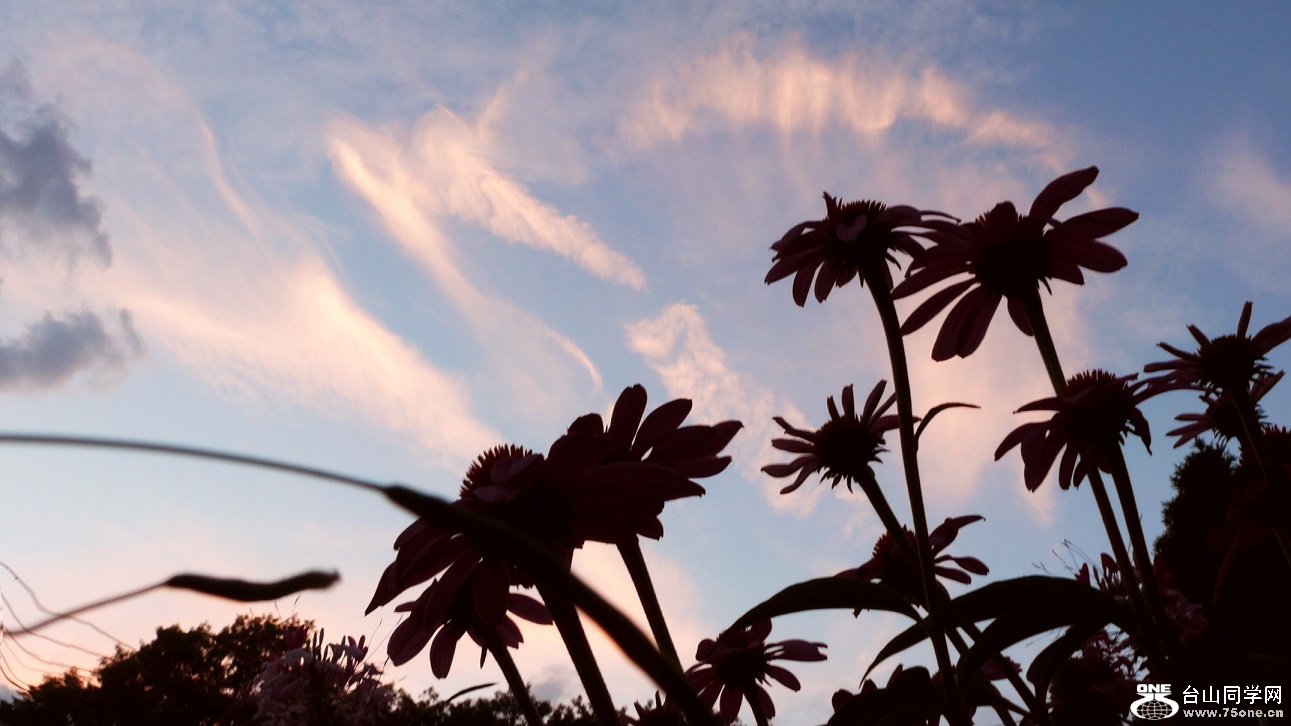 l2370608_conew1.jpg