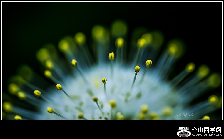 DSC_0441C.jpg
