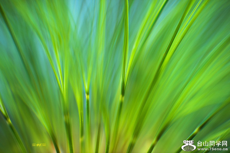 DSC_0154C.jpg