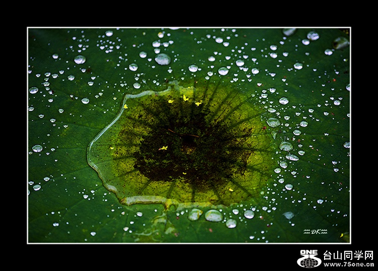 DSC_0043C1.jpg