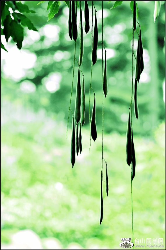 _DSC9034_.jpg