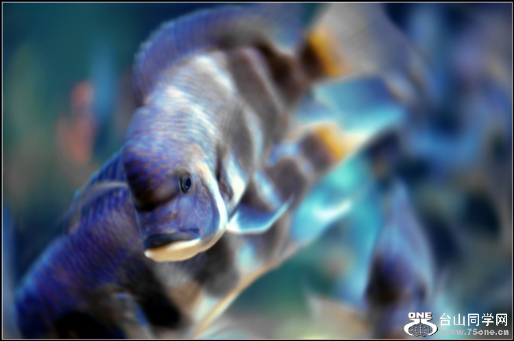_DSC8358_.jpg