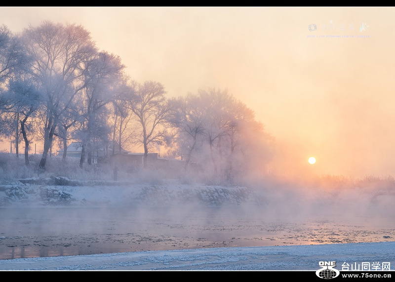 DSC_9458s.jpg
