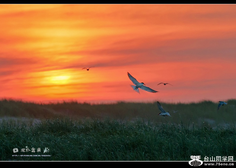 DSC_5889s.jpg