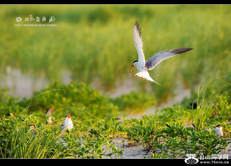 DSC_6439s.jpg