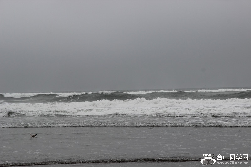 ����2 094_����.jpg