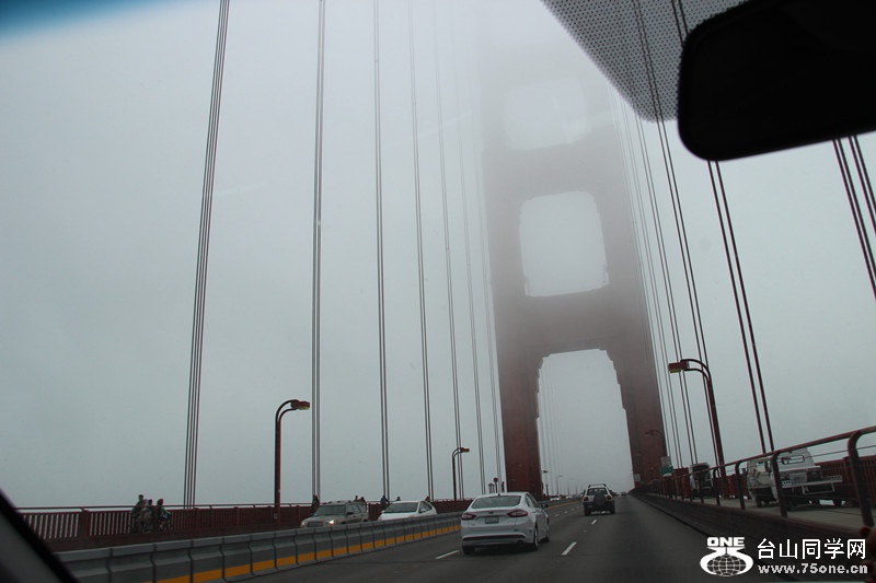 ���� 137_����.jpg