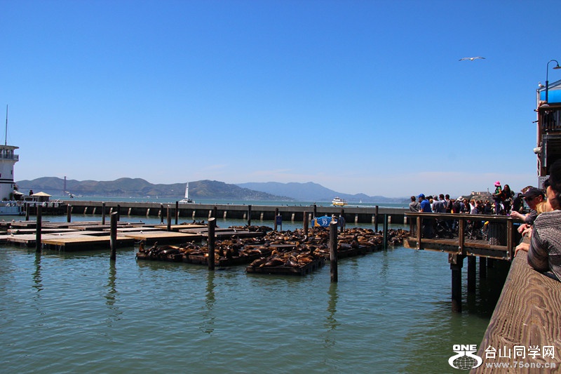 ���� 035_����.jpg