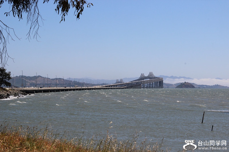 ���� 110_����.jpg