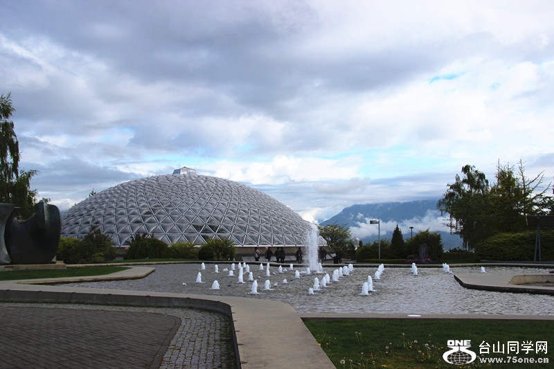 ���� 460_����.jpg