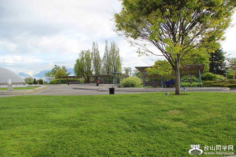 ���� 456_����.jpg