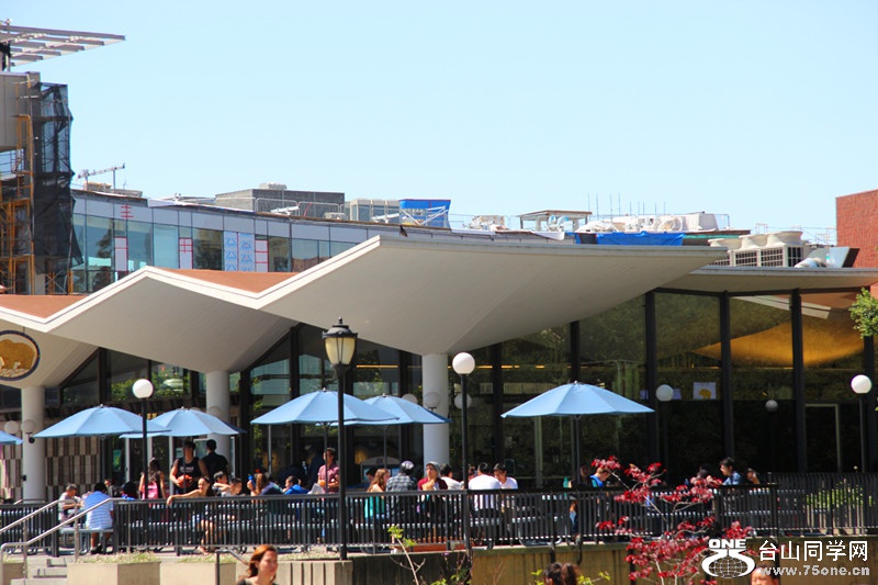 ���� 102_����.jpg